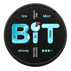 BIT Ice Mint 12mg (5-Tins)